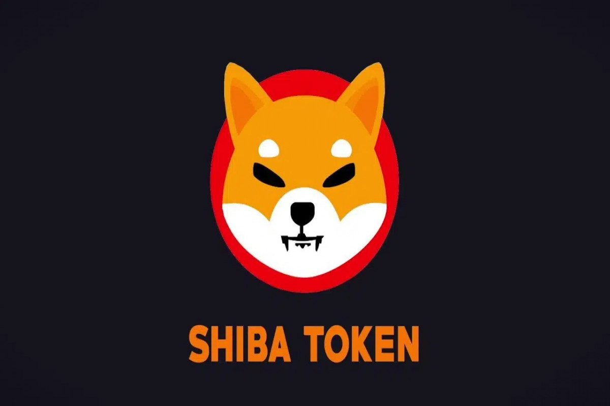  Shiba Inu   216 %   