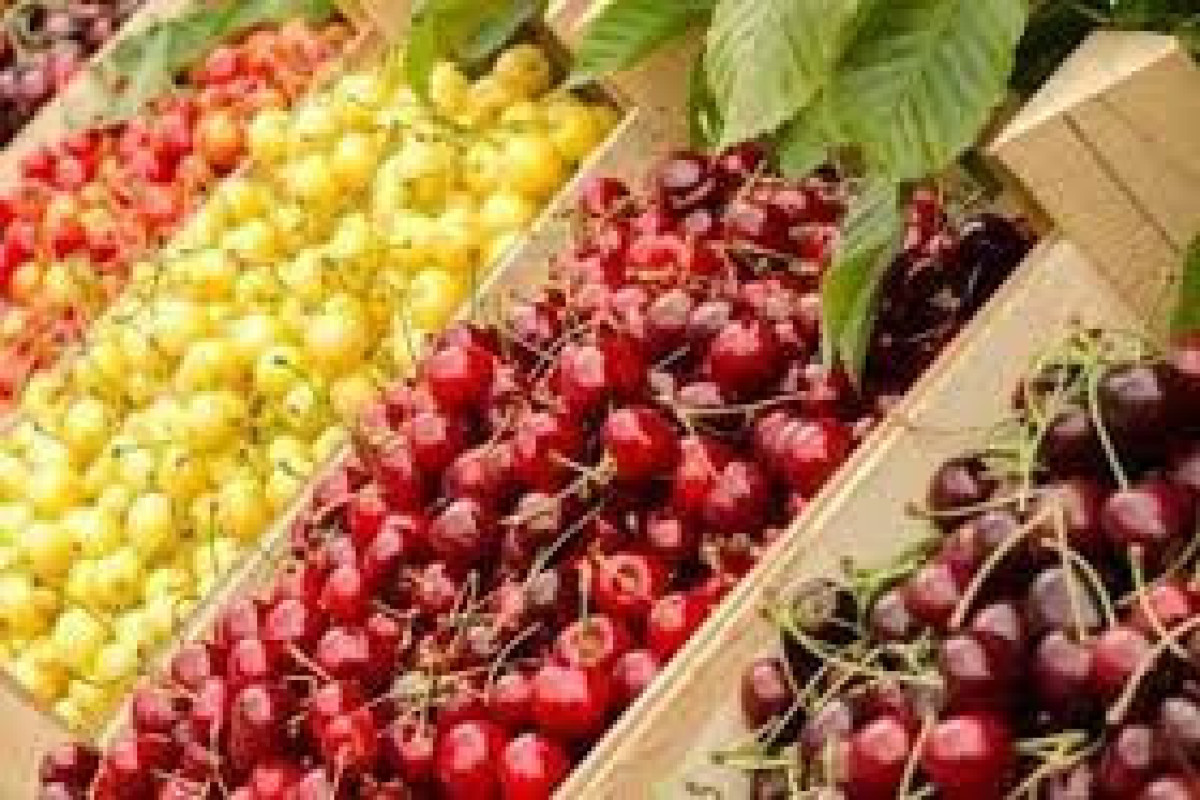 ����: vesti.az