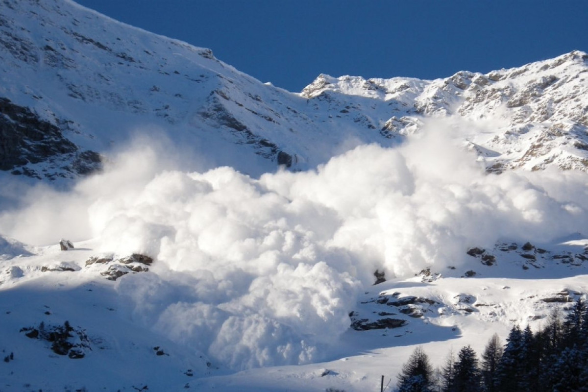  ���� ������ ����� ���������� ������� ������� ����� 