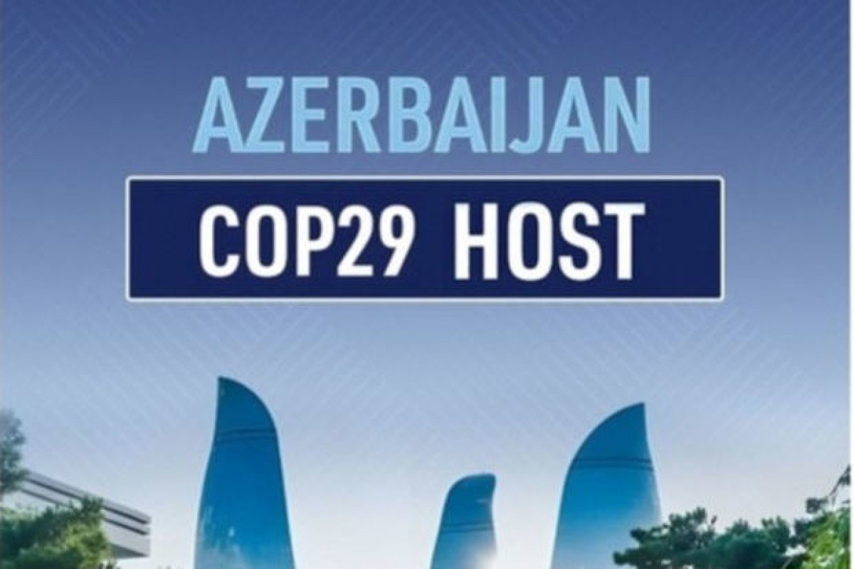 C        COP29-