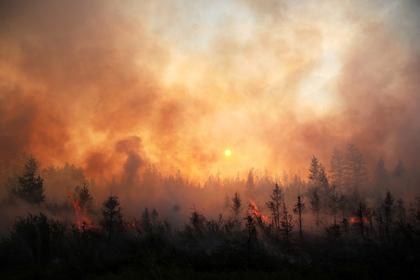 Для тушения пожаров в Сибири вызовут искусственные дожди
