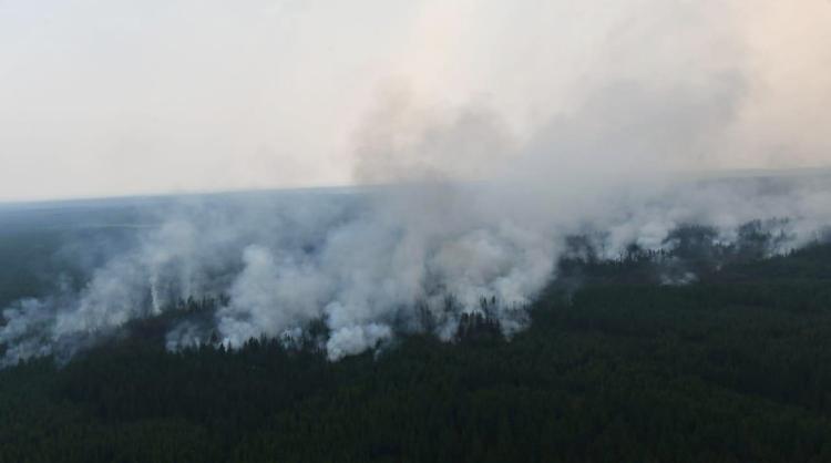 Дым от пожаров в лесах России окутал 610 городов и сел
