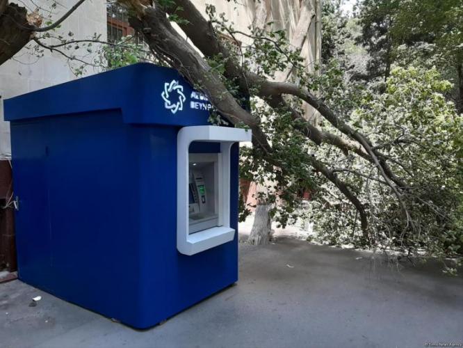 Сильный ветер в Баку повалил дерево на банкомат 