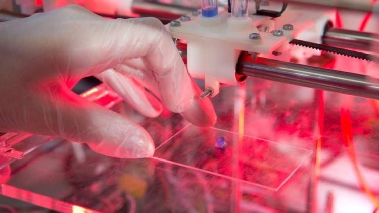 Ученые усовершенствовали печать живых органов на 3D-принтере
