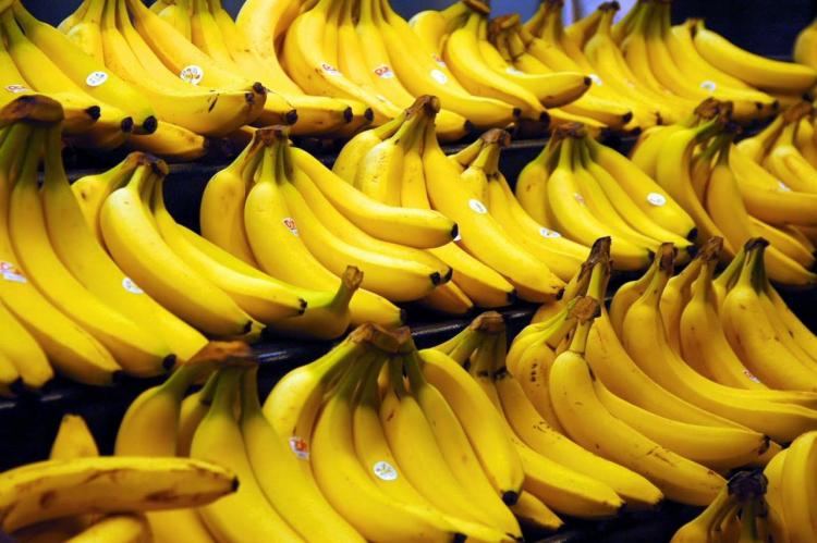 Бананы оказались под угрозой исчезновения