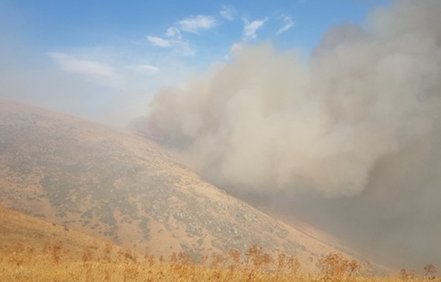 В Армении площадь пожара у потухшего вулкана достигла 1800 гектаров - ВИДЕО