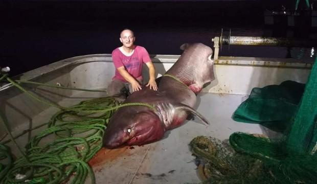 Пятиметровая акула шокировала жителей Турции - ФОТО