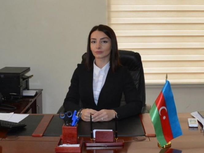 МИД: Армения вновь признала, что осушествляет контроль над Карабахом