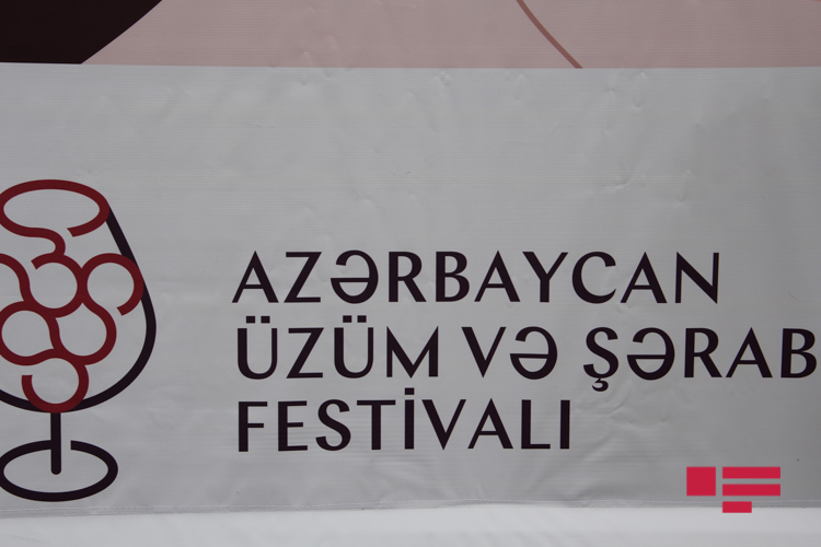 В Шамахы при поддержке Фонда Гейдара Алиева проходит Фестиваль винограда и вина Азербайджана
