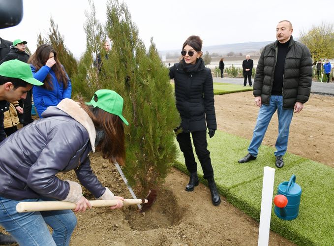 Ильхам Алиев и Мехрибан Алиева приняли участие в акции по посадке деревьев в Шамахе - ОБНОВЛЕНО - ФОТО