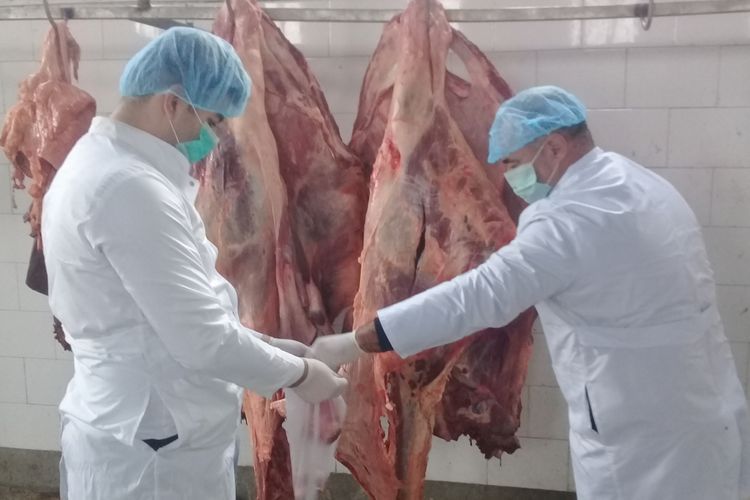 В Сумгайыте уничтожены сотни килограмм непригодной говядины