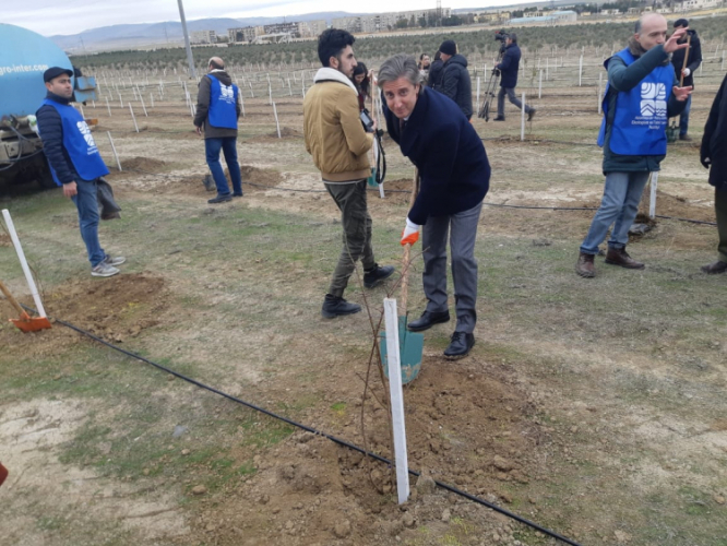 Сотрудники ПРООН приняли участие в акции по посадке деревьев в Азербайджане