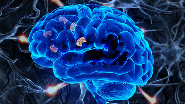 Ученые выяснили, как именно "хранятся" слова в мозге