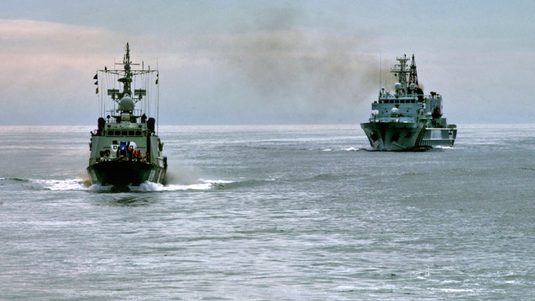 Российские пограничники задержали пять японских судов
