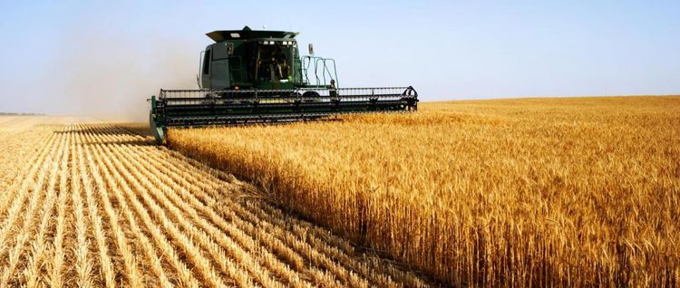 Производство сельского хозяйства в Азербайджане выросло более чем на 7%