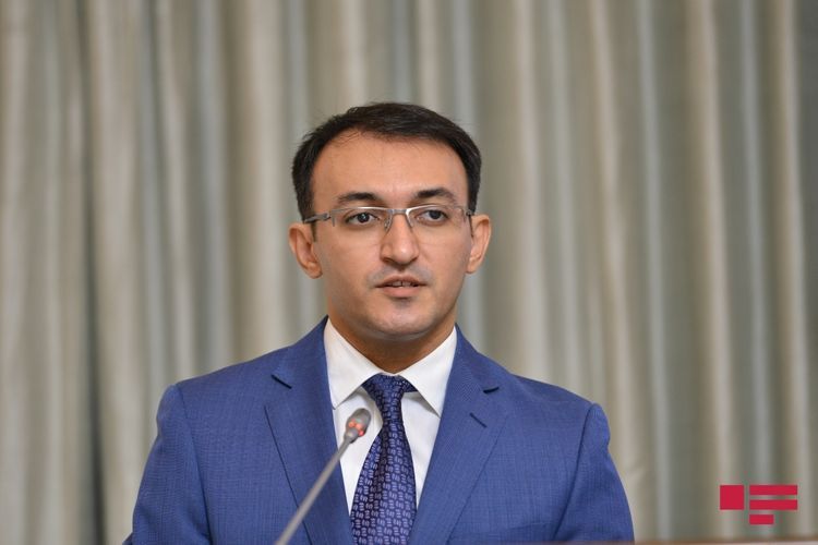 Проживающим за рубежом гражданам Азербайджана будет оказана юридическая помощь службы «ASAN»
