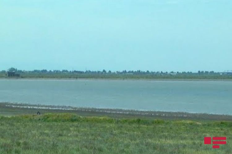 В Азербайджане восстановят гаджигабульское озеро