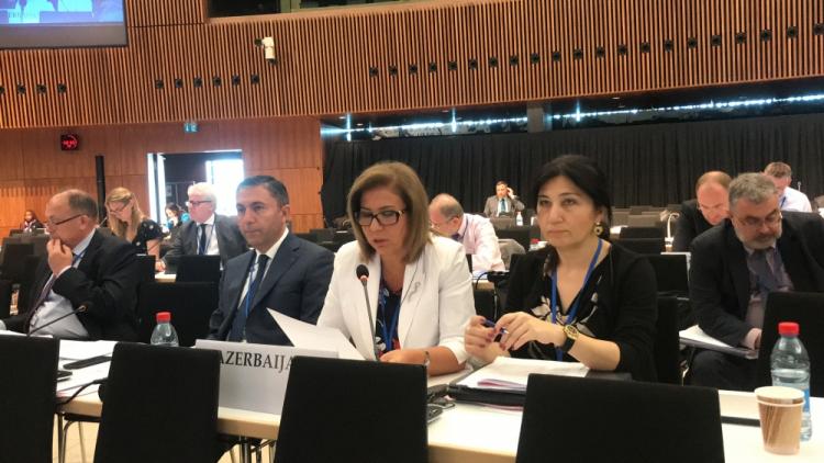 На заседании ПА ОБСЕ принята поправка, предложенная азербайджанской делегацией