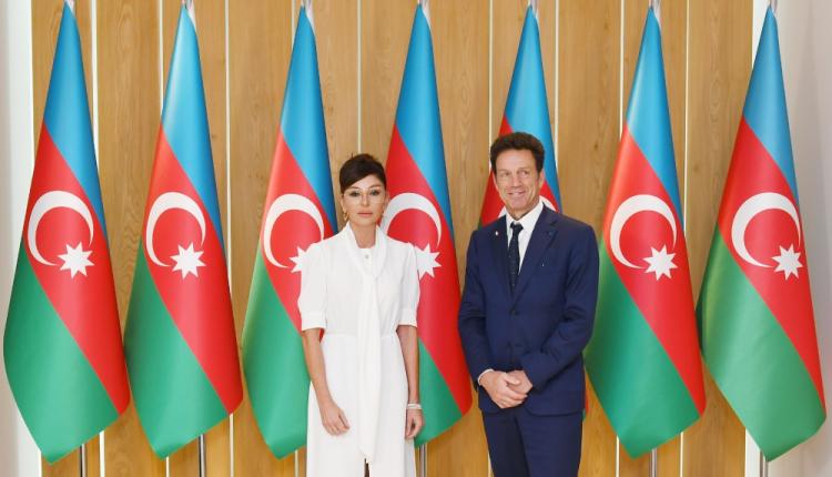 Мехрибан Алиева встретилась с президентом Бизнес Совета MEDEF