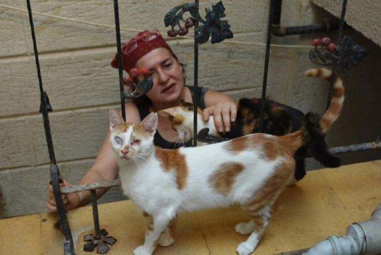 56-летняя турчанка: «Я -готова отдать свои глаза слепым…кошкам»

