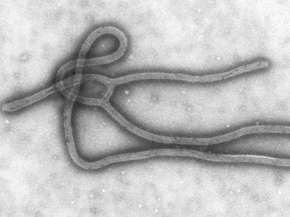 В Африке продолжают умирать от Эболы