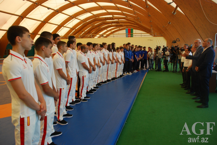"Армяне всегда поднимают шум в такой момент" - ИО президента Федерации борьбы Азербайджана

