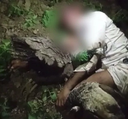 В Индии, убившего павлинов мужчину, избили до смерти