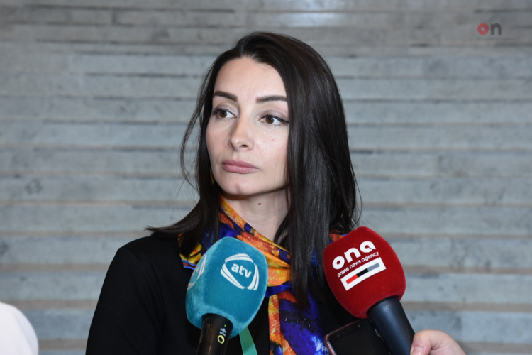Лейла Абдуллаева: "Австралия однозначно поддерживает территориальную целостность Азербайджана" 