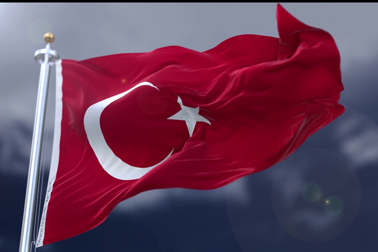Путин расширил исключения для граждан Турции по безвизовому режиму