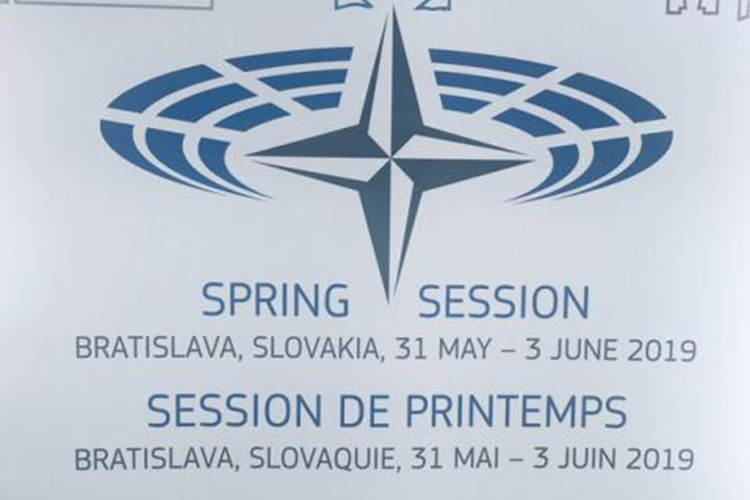 Делегация Азербайджана участвует в весенней сессии ПА НАТО
