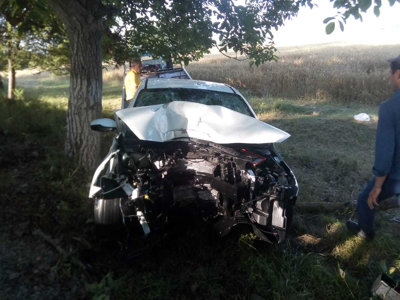 В Огузе автомобиль врезался в дерево, двое погибли