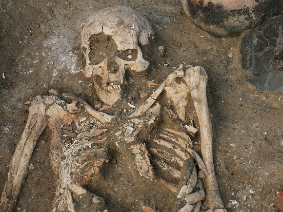 В Ирландии нашли загадочный объект возрастом 5600 лет