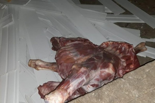 В Азербайджане обнаружено 82 кг непригодного к потреблению мяса - ФОТО
