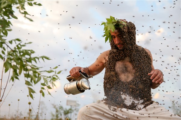 10 кг пчел на теле – Абдулвахаб будет рисковать до победного конца - ФОТО