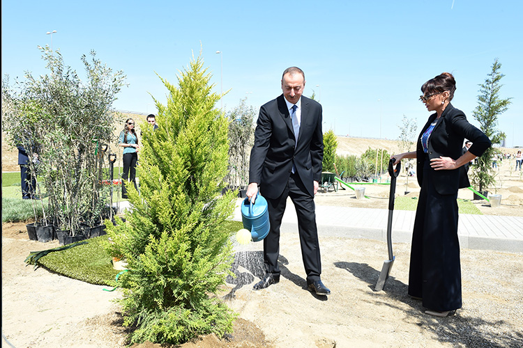 Президент Ильхам Алиев и Мехрибан Алиева посадили дерево 