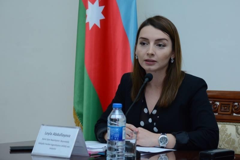 Лейла Абдуллаева ответила Мнацаканяну: "Рассуждения смехотворны и фальшивы"