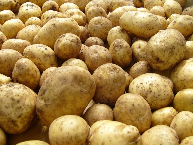 В Россию не пустили 40 тонн картофеля из Азербайджана