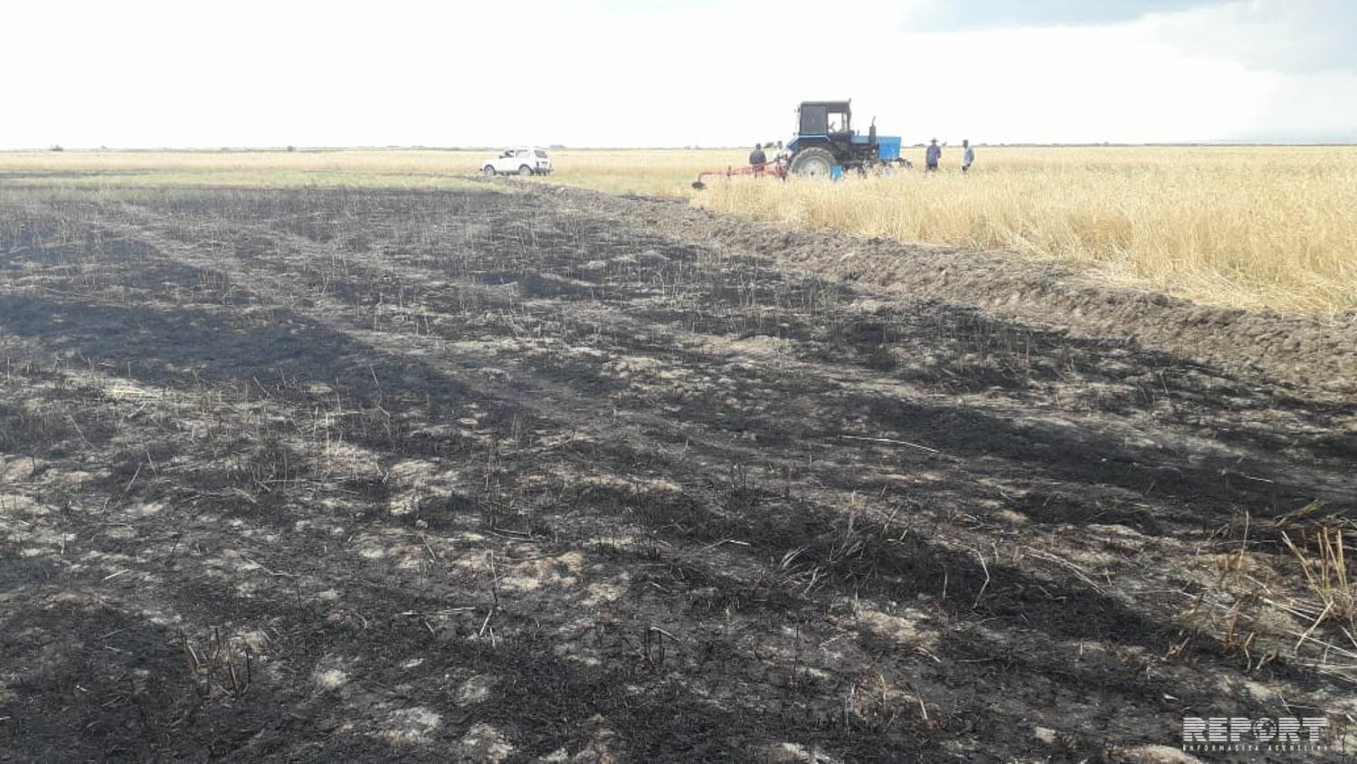 В Кюрдамире несправный комбайн привел к пожару на зерновом поле