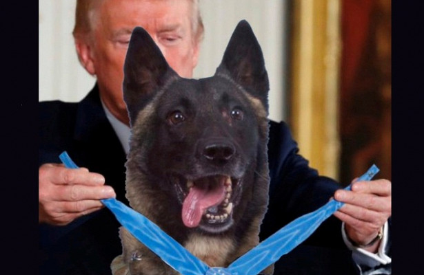 Трамп сравнил себя с псом, отличившимся при ликвидации аль-Багдади