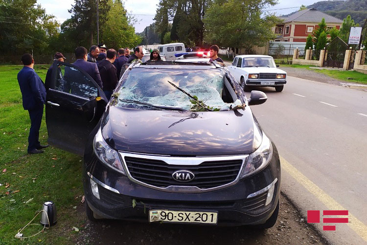 В Лянкяране дерево упало на автомобиль, пострадал водитель 