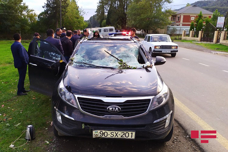 В Лянкяране дерево упало на автомобиль, пострадал водитель