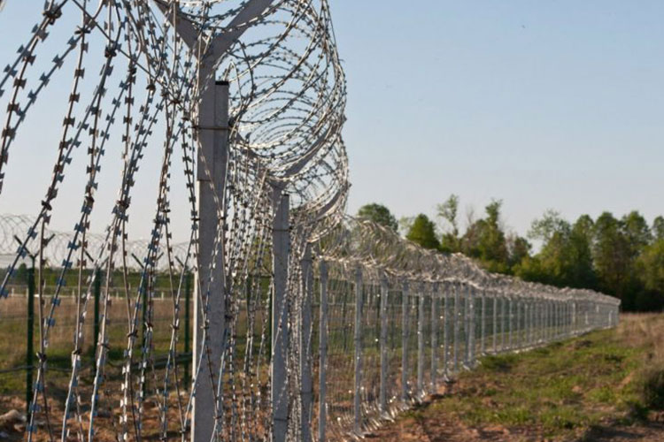 На азербайджано-грузинской границе задержаны 8 нарушителей - ФОТО