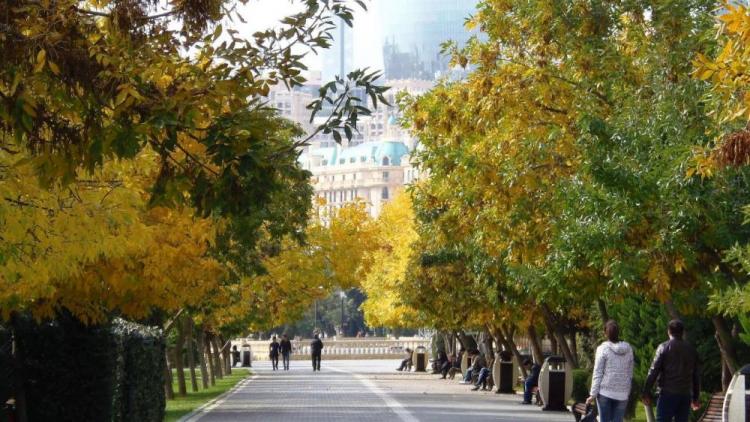 Завтра в Азербайджане будет 21 градус тепла