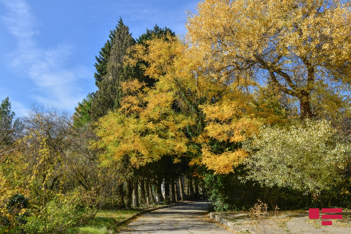 На территории Азербайджана ожидается изморось и северо-западный ветер