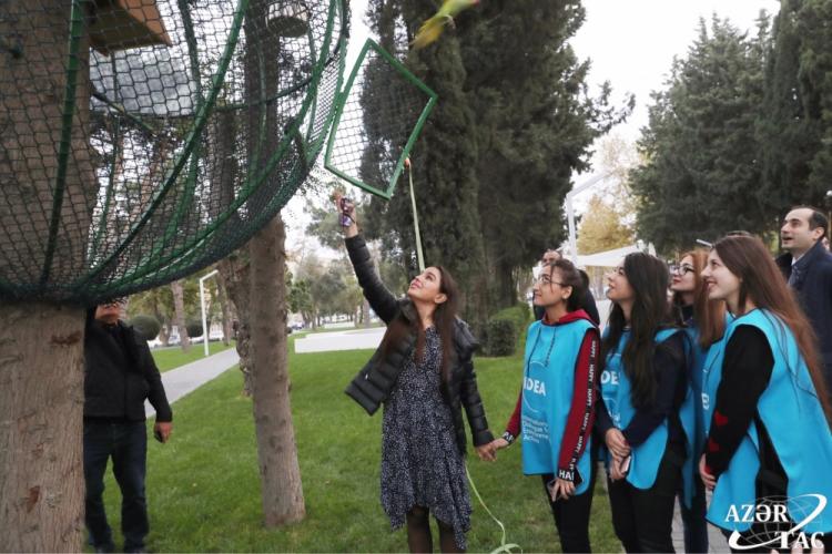 По инициативе Лейлы Алиевой в парке на проспекте Ататюрка были выпущены 10 попугаев