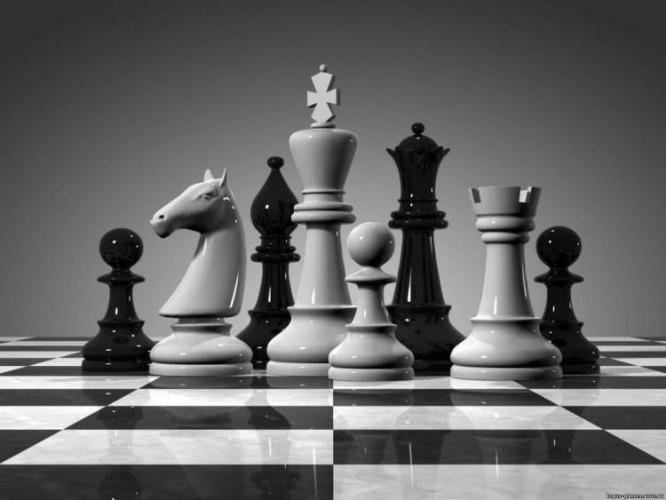 Азербайджанские шахматисты не сыграют в Вейк-ан-Зее