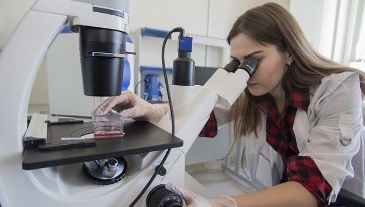 В Нахчыване будет создан Центр искусственного оплодотворения