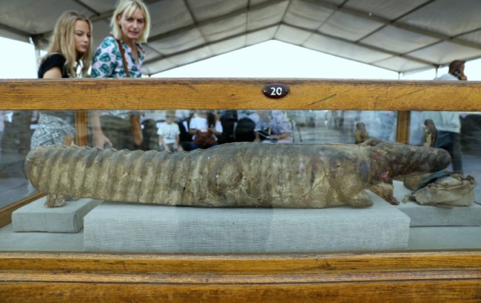 Археологи в Египте нашли древние памятники и мумии животных
