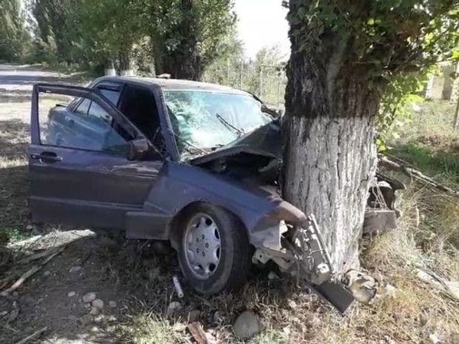 В Огузе автомобиль врезаллся в дерево,  ранены двое