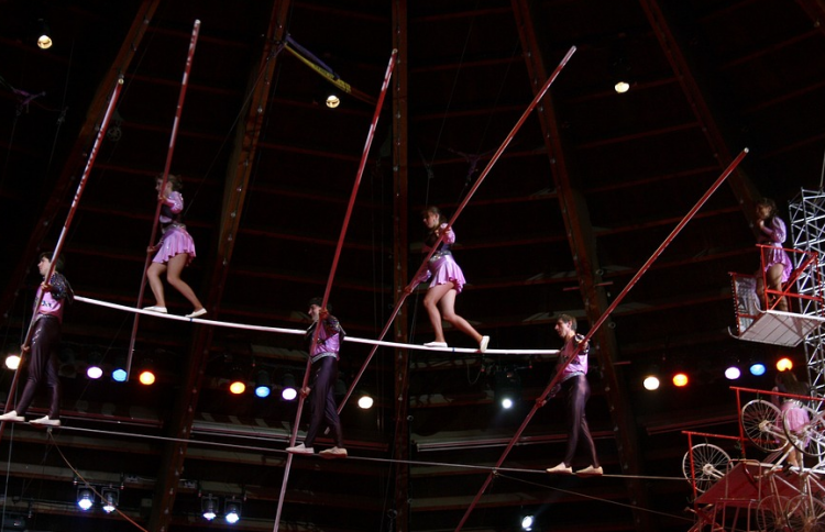 В России артистка цирка упала с высоты во время представления - ВИДЕО